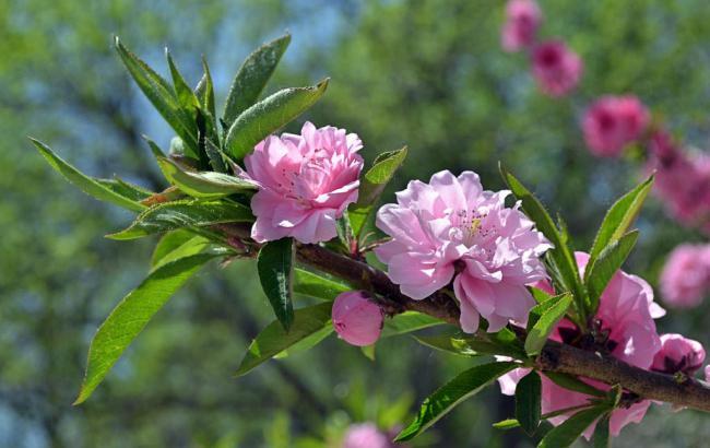 龙虎山马拉松比赛评价_龙虎山马拉松比赛